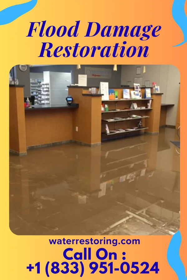 Flood Damage Restoration in Casey, IL