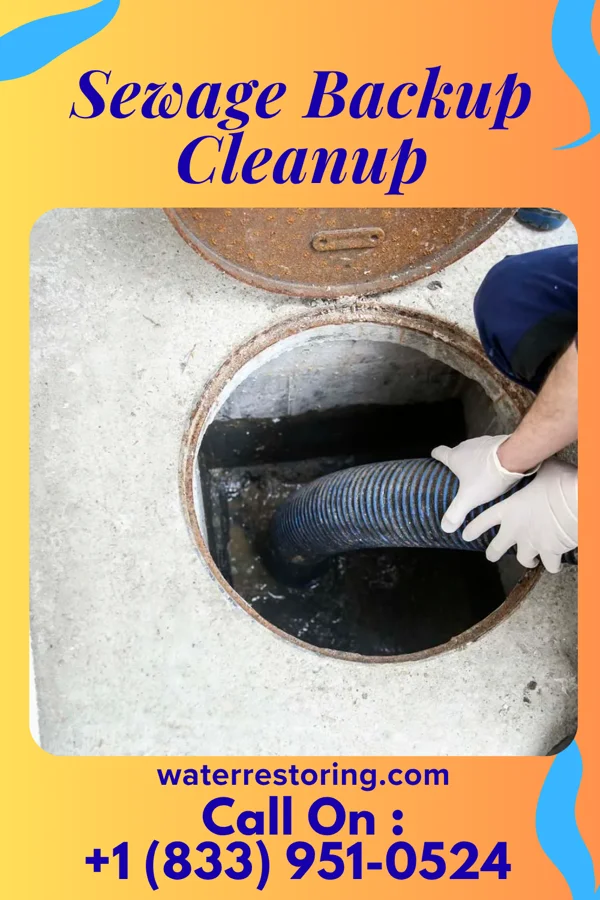 Sewage Backup Cleanup in Casey, IL