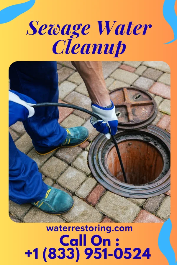 Sewage Water Cleanup in Casey, IL